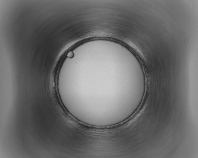 X0000111441070200907131016