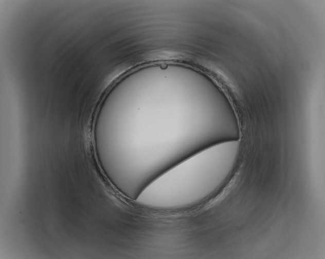 X0000111441073200907131016