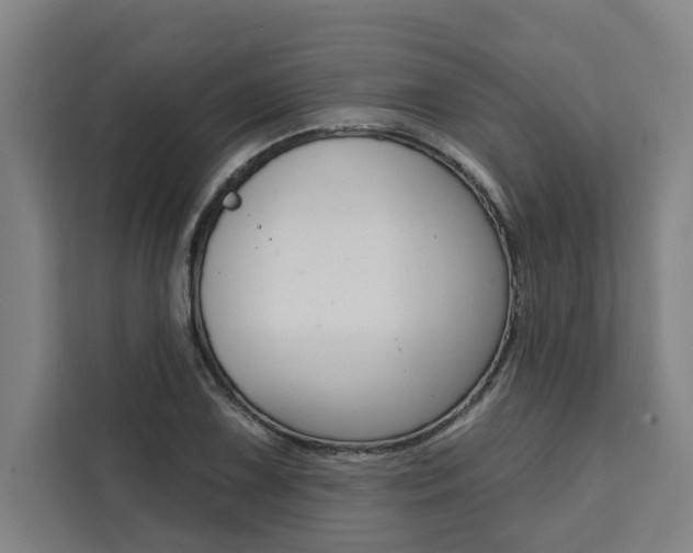 X0000111441075200907131016
