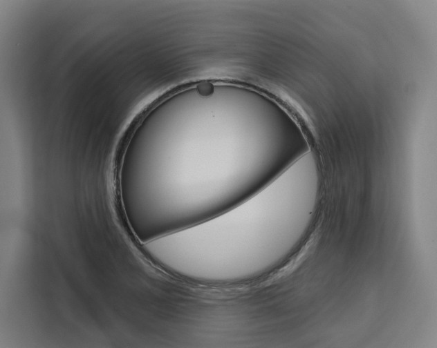 X0000111441077200907131016