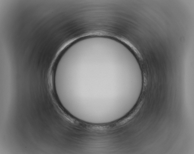X0000111441078200907131016