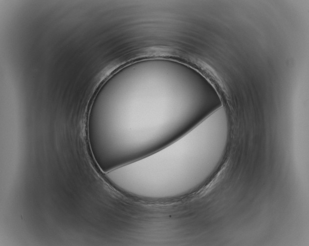 X0000111441081200907131016