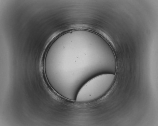X0000111441082200907131016