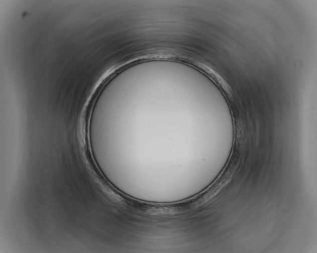 X0000111441083200907131016