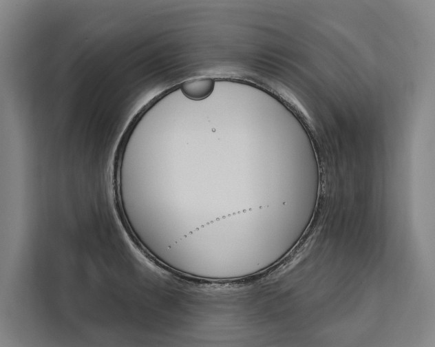 X0000111441087200907131016