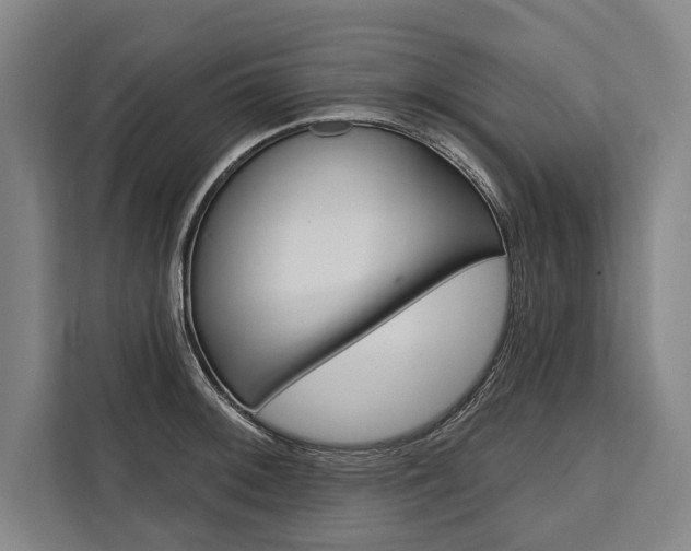 X0000111441092200907131016