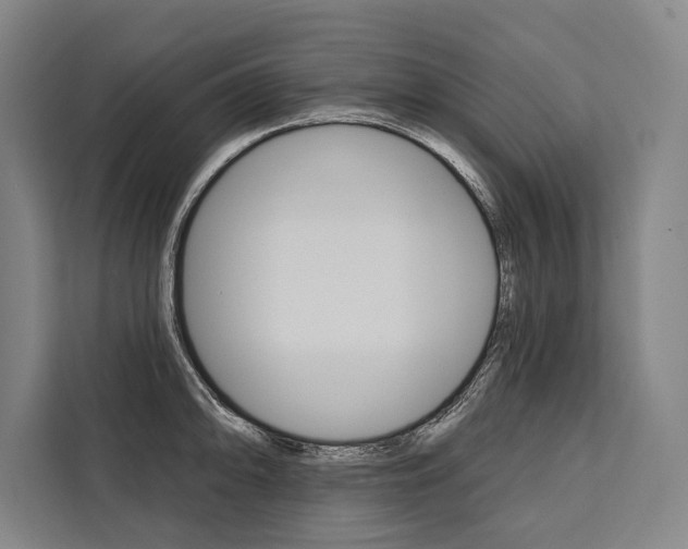 X0000111441094200907131016