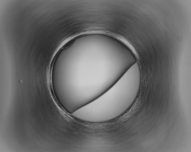 X0000111441101200907131015