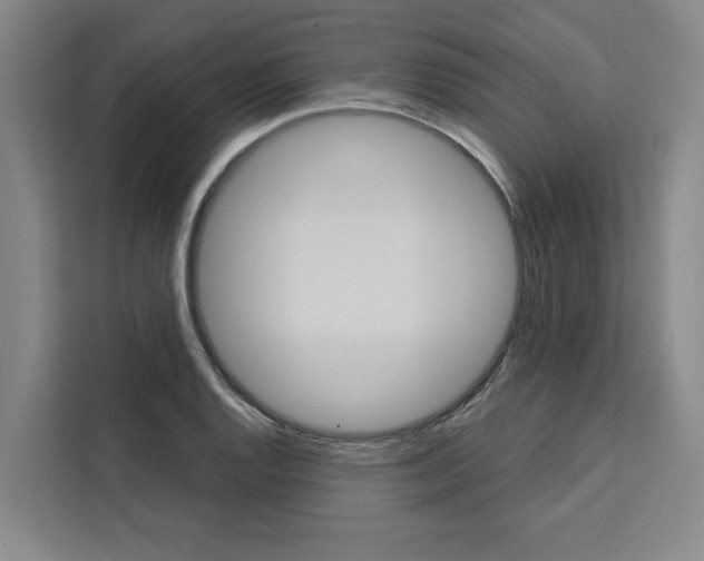 X0000111441128200907131015