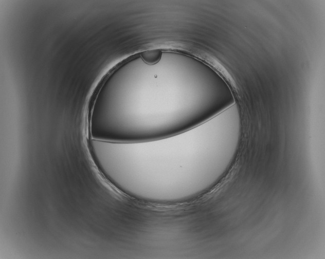 X0000111441132200907131015