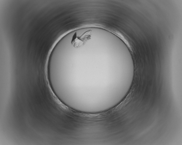 X0000111441140200907131015