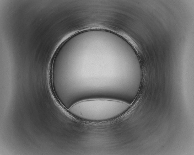 X0000111441142200907131015