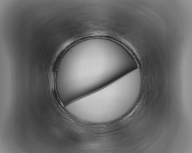 X0000111441171200907131015