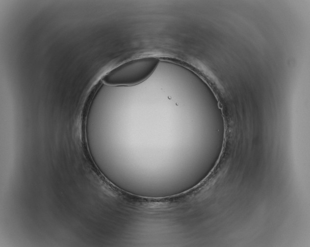 X0000111441173200907131015