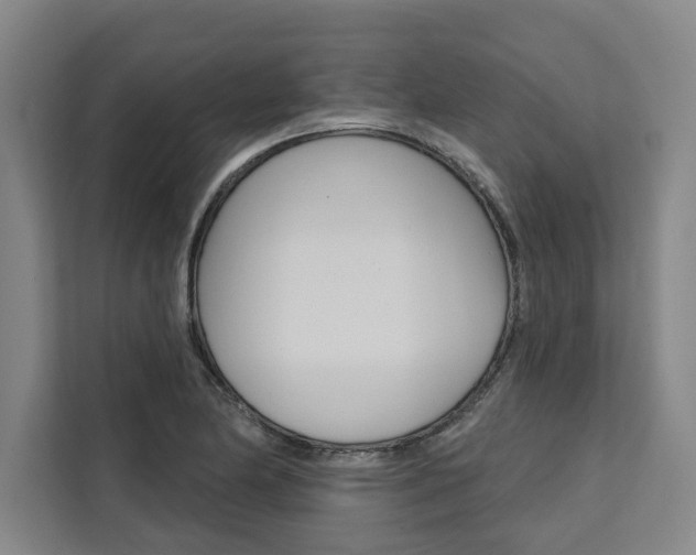 X0000111441174200907131014