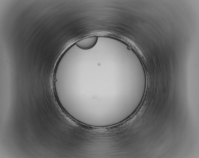 X0000111441186200907131014