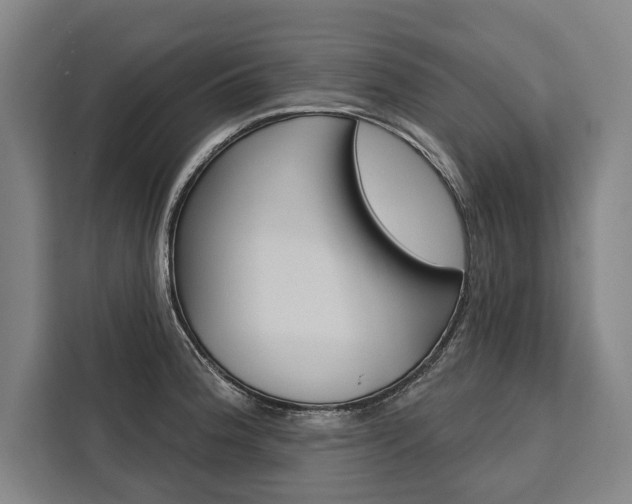 X0000111441188200907131014