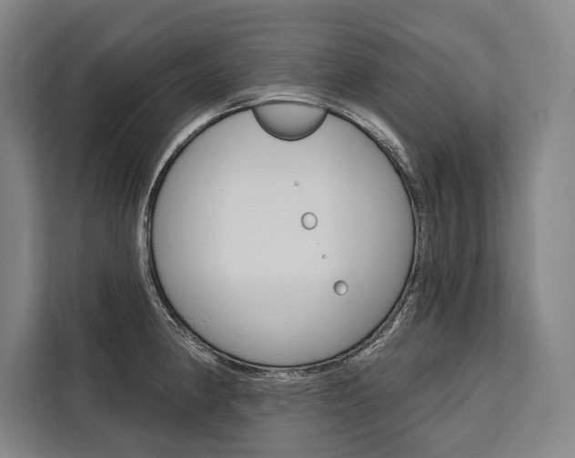 X0000111441190200907131014