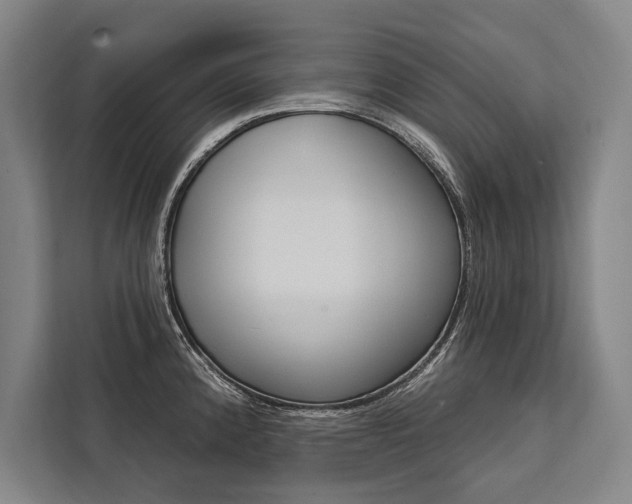 X0000111441192200907131014