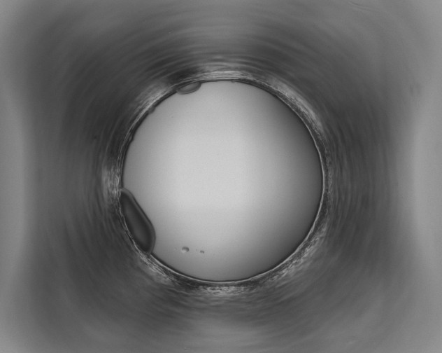 X0000111441193200907131014