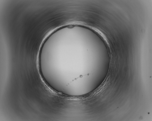 X0000111441199200907131014