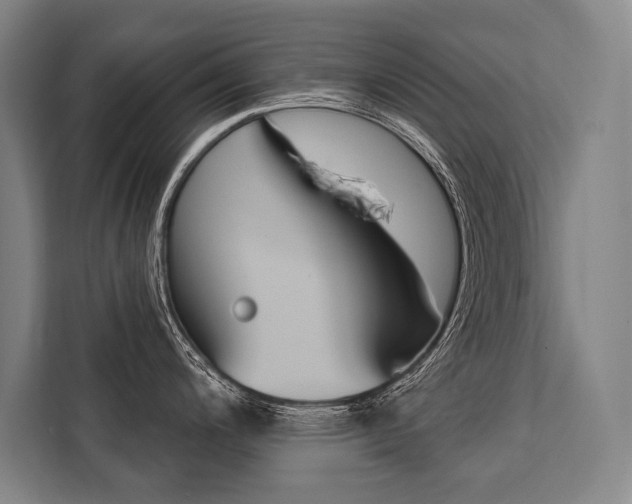 X0000111441200200907131014