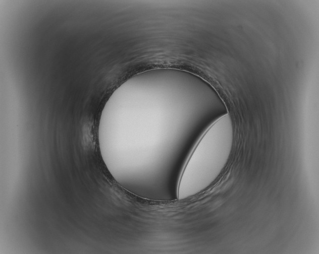 X0000111441202200907131014