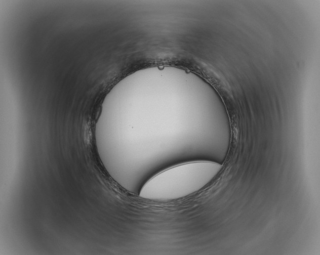 X0000111441204200907131014
