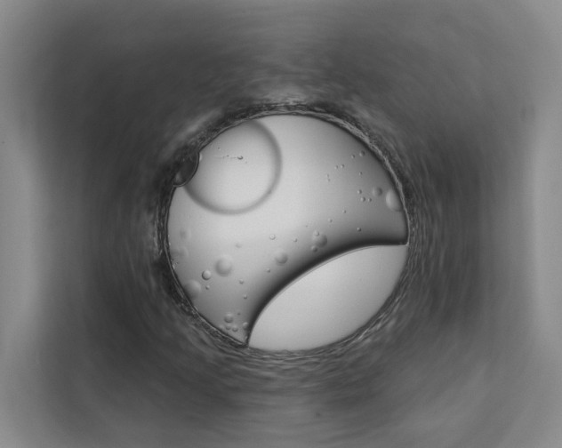 X0000111441205200907131014
