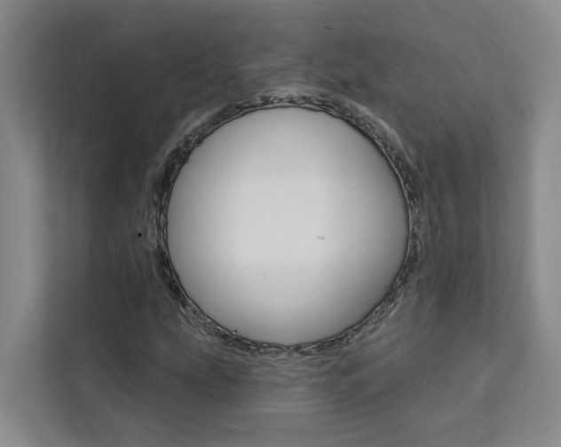 X0000111441207200907131014