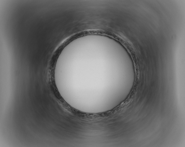 X0000111441208200907131014