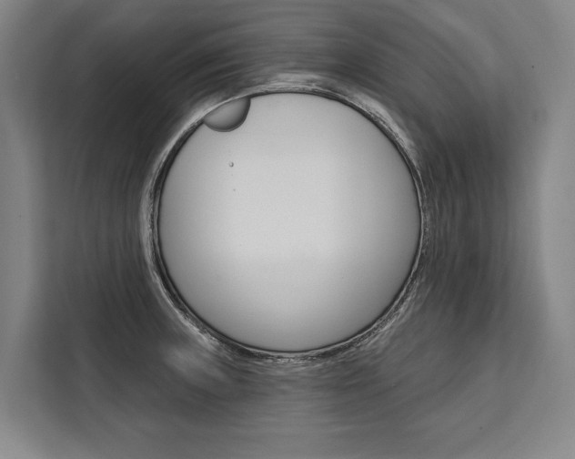 X0000111441235200907131014