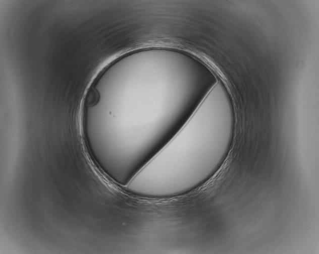 X0000111441246200907131014