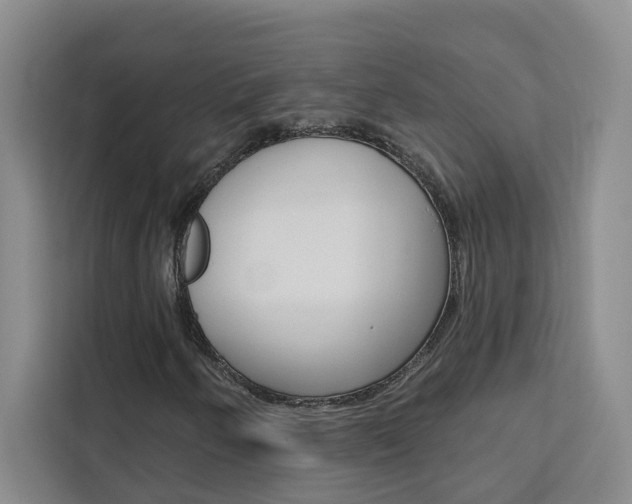X0000111441250200907131014