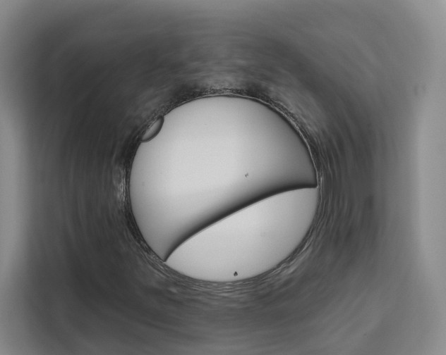 X0000111441251200907131013