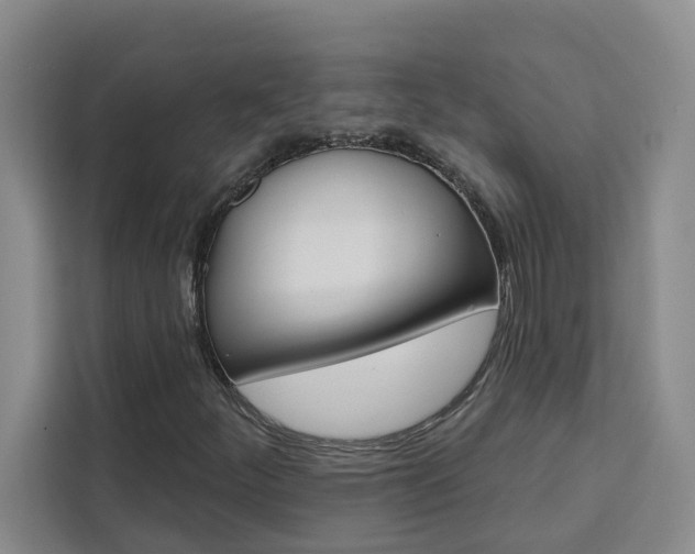 X0000111441252200907131013