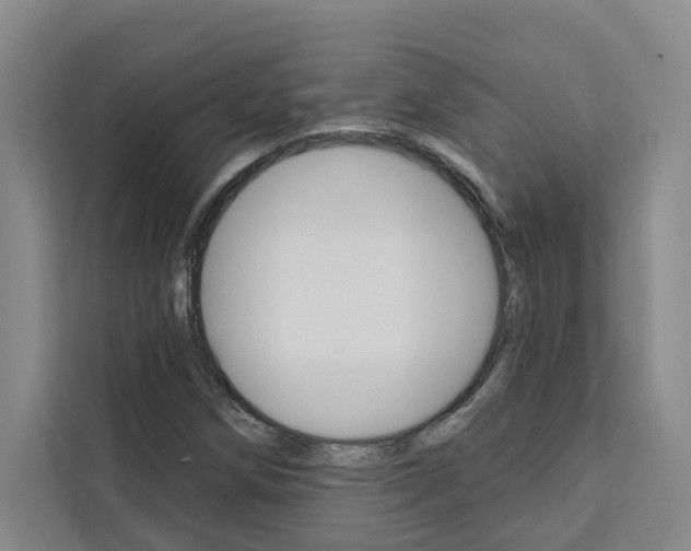 X0000111441258200907131013