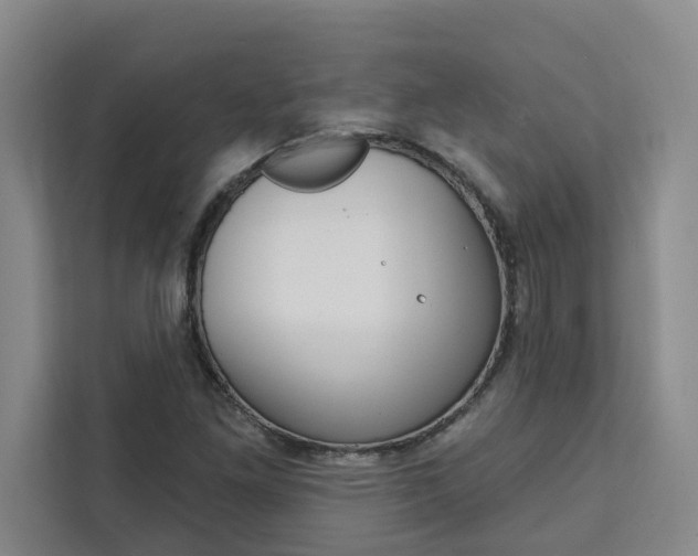 X0000111441261200907131013