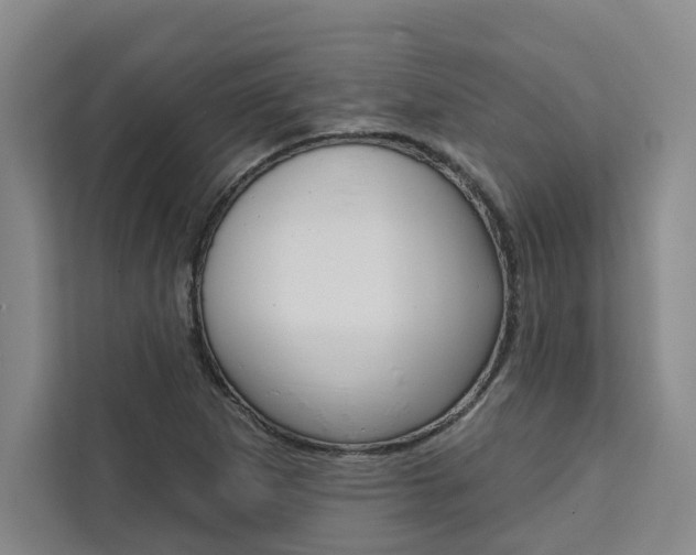 X0000111441265200907131013