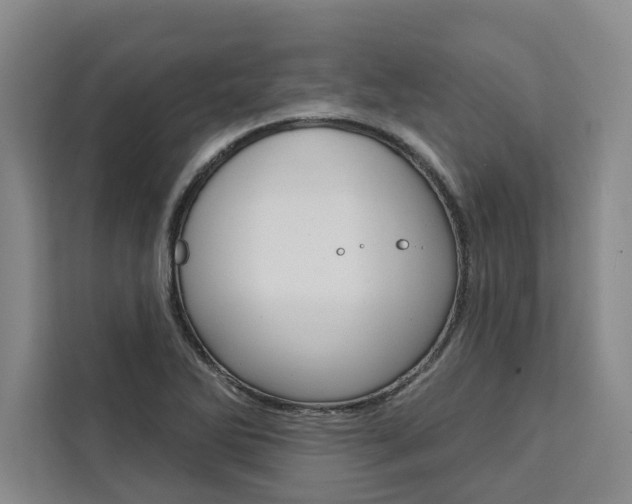 X0000111441270200907131013