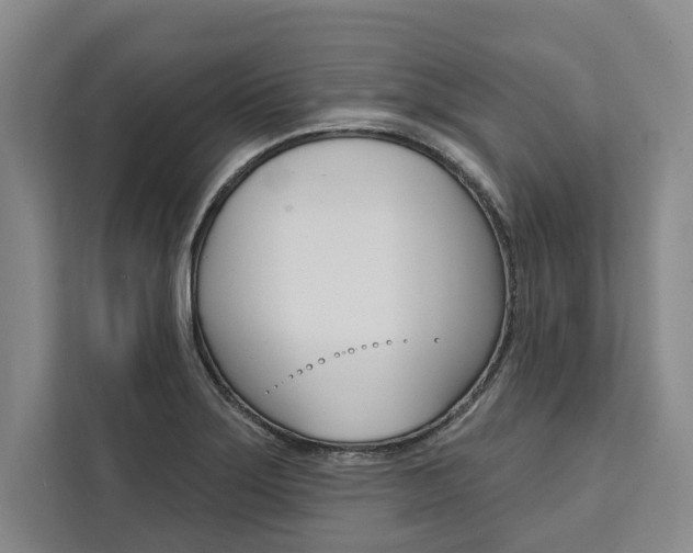 X0000111441275200907131013