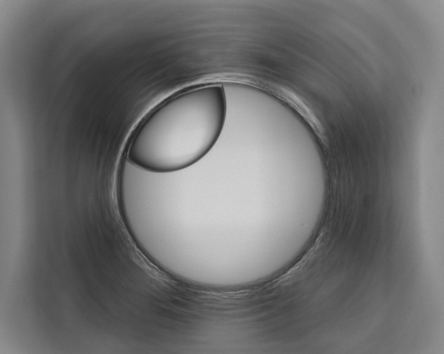 X0000111441276200907131013