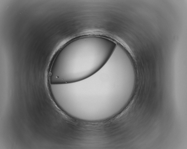 X0000111441277200907131013