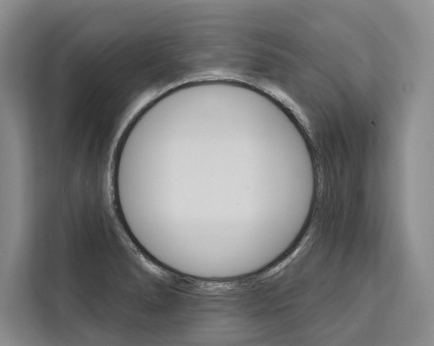 X0000111441278200907131013