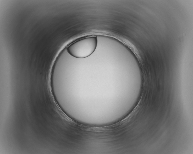 X0000111441280200907131013