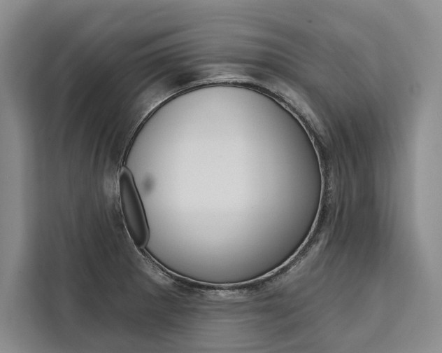 X0000111441281200907131013
