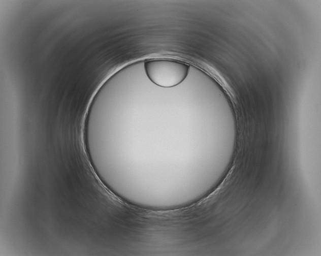 X0000111441284200907131013