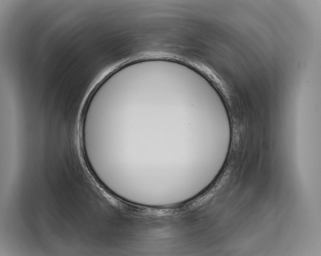 X0000111441286200907131013