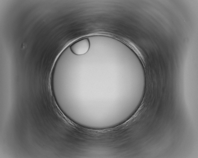 X0000111441292200907131013