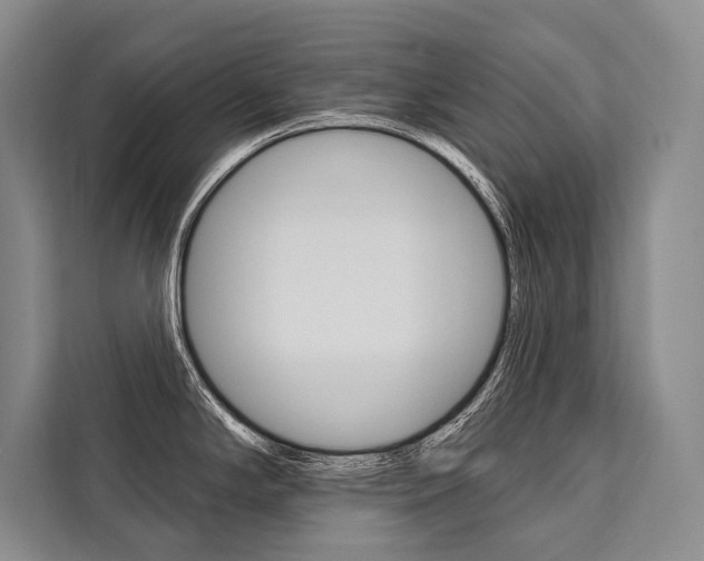 X0000111441294200907131013